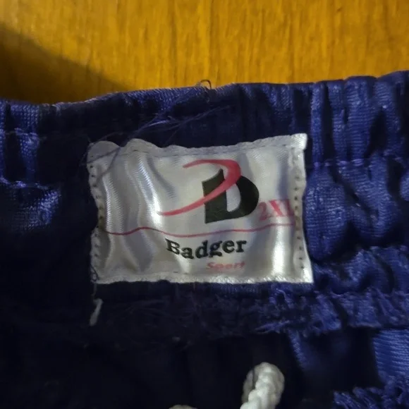 Mens Purple Active Shorts 2X: 2XA - Picture 2 of 5